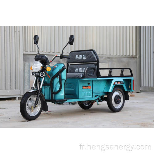 Tricycles électriques à trois roues de haute qualité 60V 1000W de haute qualité